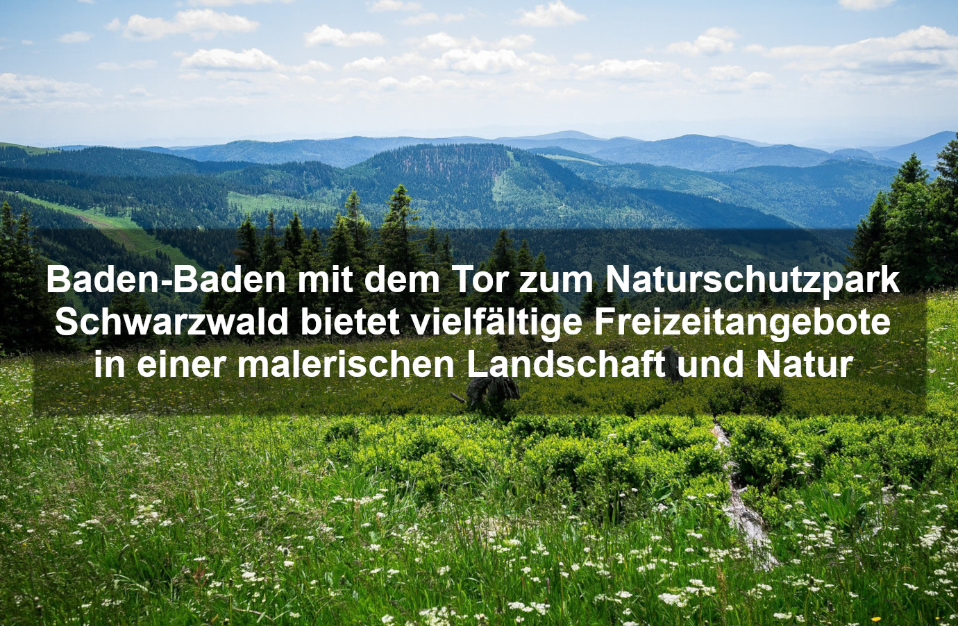 Freizeit und Tourismus im Naturpark Schwarzwald